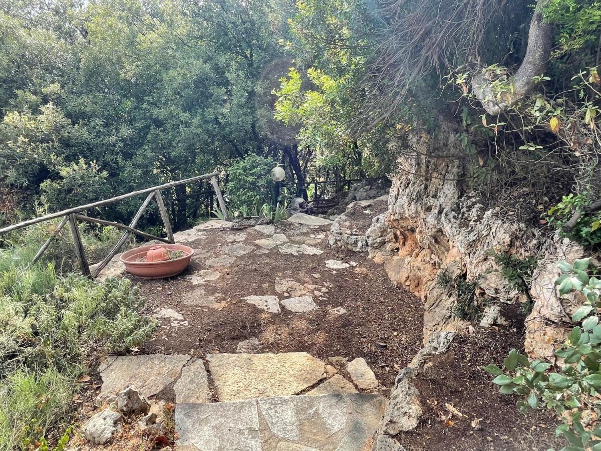 Villa Degli Ulivi Massa Marittima Dış mekan fotoğraf